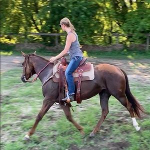 Meet your Posher, Rachel